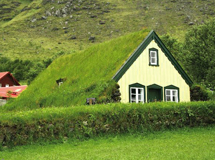 Зеленые насаждения на крыше дома